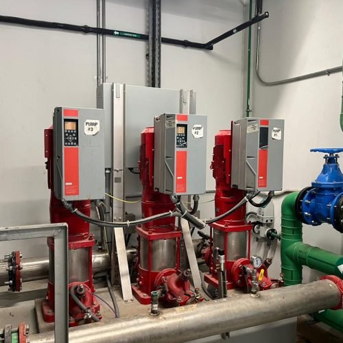 WhatsApp Image 2024-06-29 at 11.52.52_79cb6420