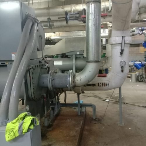 WhatsApp Image 2024-07-25 at 14.42.19_3f466e87