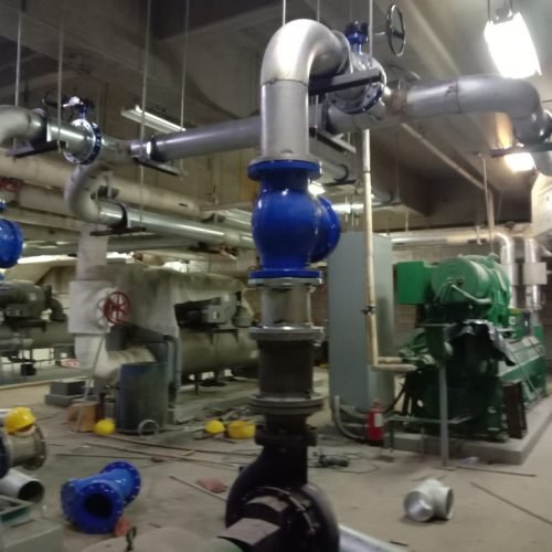 WhatsApp Image 2024-07-25 at 14.42.39_1de348ce