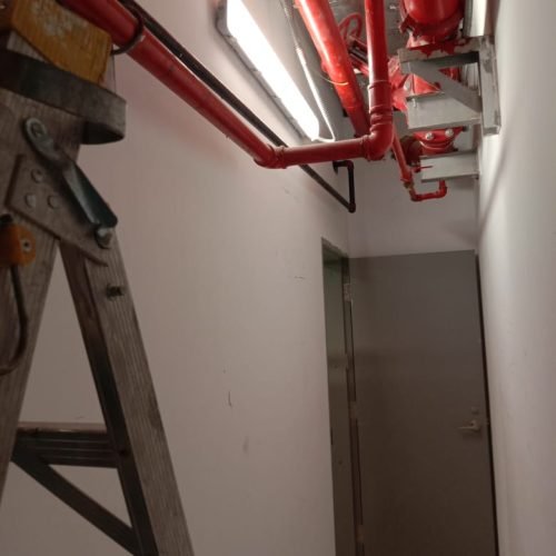 WhatsApp Image 2024-07-25 at 14.42.43_7613a53e