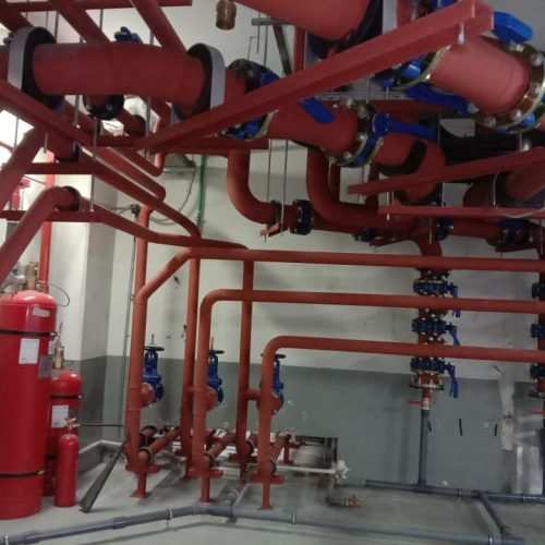 WhatsApp Image 2024-07-25 at 14.42.50_ebafc90c