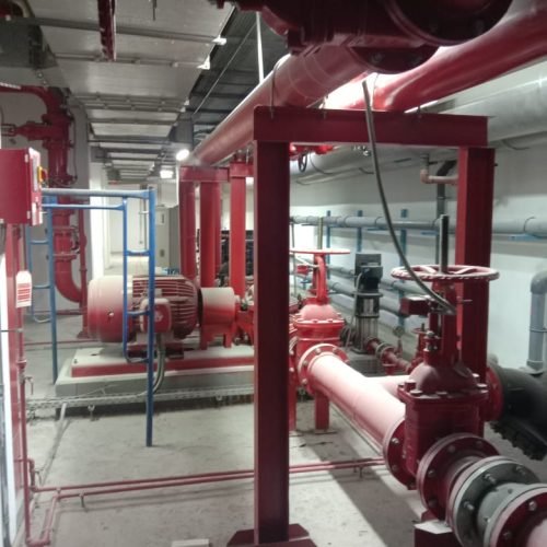 WhatsApp Image 2024-07-25 at 14.42.55_6f14da6f